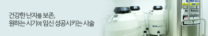 건강한 난자를 보존, 원하는 시기에 임신 성공시키는 시술